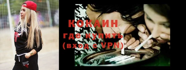 гашик Арсеньев