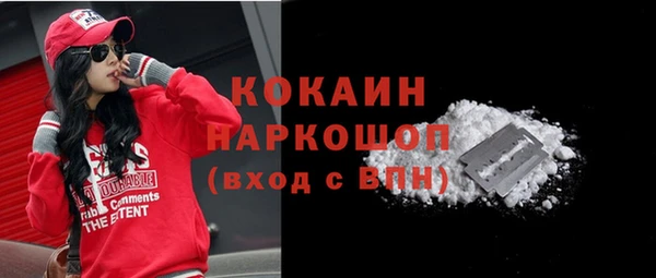 гашик Арсеньев