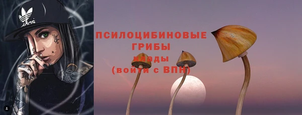 прущие крисы Армянск