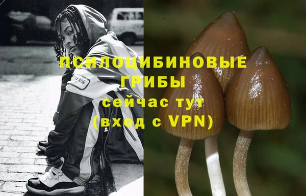 гашик Арсеньев